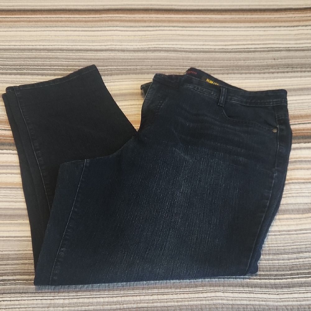 Style & Co Demin Dark Blue Slim Leg Jeans Womens Plus Size 20W